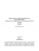 TRABAJO PRÁCTICO - IMPORTACIONES HIRAOKA S.A.C