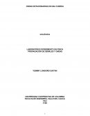 LABORATORIO EXPERIMENTO EN FÍSICA . PROPAGACIÓN DE SEÑALES Y ONDAS