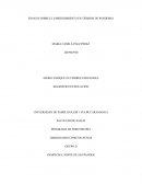 ENSAYO SOBRE EL EMRENDIMIENTO EN TIEMPOS DE PANDEMIA