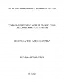 TEXTO ARGUMENTATIVO SOBRE EL TRABAJO COMO DERECHO HUMANO FUNDAMENTAL