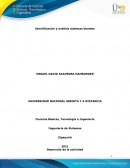 Identificación y análisis sistemas blandos