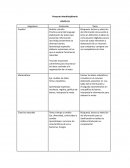 Proyecto interdisciplinario COVID-19