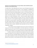 Juicio ético a la ley industrial eléctrica con la que Obrador usando combustóleo pretende solucionar la crisis energética del país.