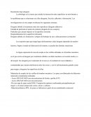 Rozamiento bajo desgaste