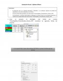 Evaluación Parcial - Software Minero