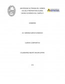 CUADRO COMPARATIVO.GOBIERNO