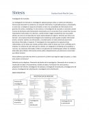 Síntesis . Investigación de mercado
