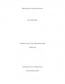 Mapa de procesos y gestión por procesos . Empresa: Cot Shirts