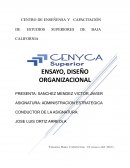 Diseño organizacional para el análisis de las diferentes situaciones