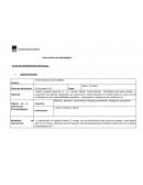 Molde de plan de intervención borrador