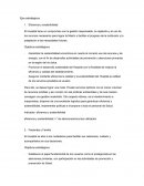 Gestion clinica.Ejes estratégicos