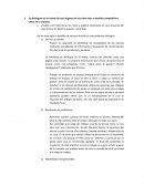 Trabajo investigativo, la administración del Cirque Du Solei