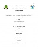 BAJA AUTOESTIMA, DÉFICIT DE ASERTIVIDAD Y HABILIDADES SOCIALES