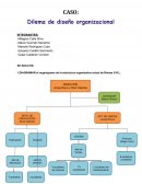 CASO: Dilema de diseño organizacional