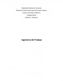 Diagrama bimanual y hombre-maquina