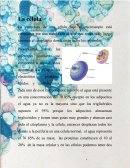 La celula.Protoplasma