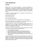 CASO SAKANA SAC