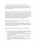 Informe empresa global sim