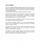 QUÉ ES AMBIENTE