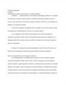 Enfoque metodológico Concepto