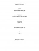 Aeróbicos: 20 minutos y solo beneficios para tu salud