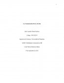 La Comunicación Oral y Escrita. Los tipos de canales de comunicación