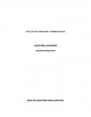 GASTOS OPERATIVOS GUIA DE AUDITORIA