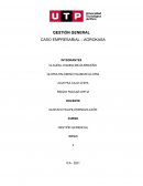 CASO EMPRESARIAL – AGROKASA