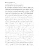 ENSAYO DEL VIDEO DE NEUROMARKETING