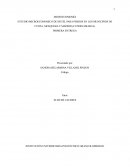 ESTUDIO MICROECONOMICO DE HOTEL PARA PERROS EN LOS MUNICIPIOS DE FUNZA, MOSQUERA Y MADRID (CUNDINAMARCA)
