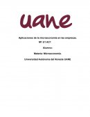 Aplicaciones de la microeconomía en las empresas