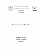 Esquemas Sociales y la Percepción