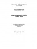 PLAN DE MANEJO AMBIENTAL