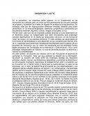INNOVACION Y LAS TIC