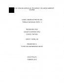 TRABAJO DISEÑO DE PROYECTOS