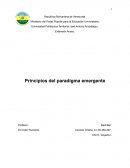 Principios del paradigma emergente