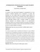 DETERMINACIÓN DEL PESO MOLECULAR DE UN LÍQUIDO FÁCILMENTE VAPORIZABLE