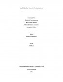 Planificar Sistema De Gestión Ambiental
