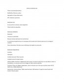 Sistema Cardiovascular Fibras musculares/Sarcómero