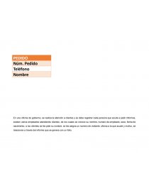 Diseño Lógico y conceptual. Página 3