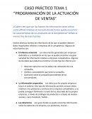 Programación de la actuación de ventas