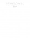 MODELO DE NEGOCIOS: PIEL SINTÉTICA HUMANA