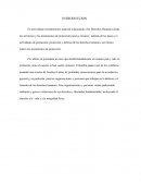 Derechos humanos desde los territorios