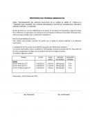 PROTOCOLO DE PRUEBAS HIDRAULICAS