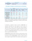 Actividad: Energía y nutrientes de los alimentos