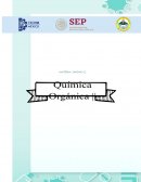 Práctica Quimica Organica Acidos Carboxilicos