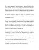Ensayo 3 cerebros