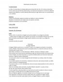 Avtividades de 5 años. Planificación día del animal