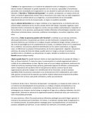 El estrés en las organizaciones