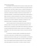 ESTRUCTURAS EN MADERA